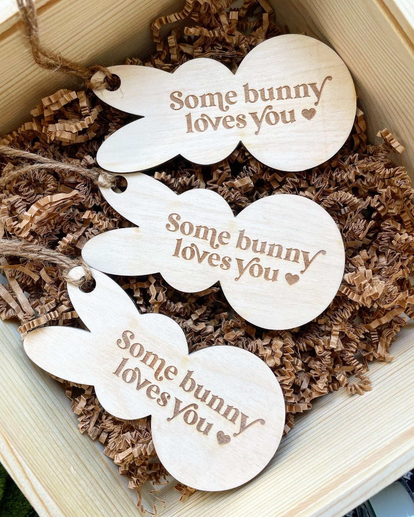 Some Bunny Loves You Wooden Easter Basket Tag